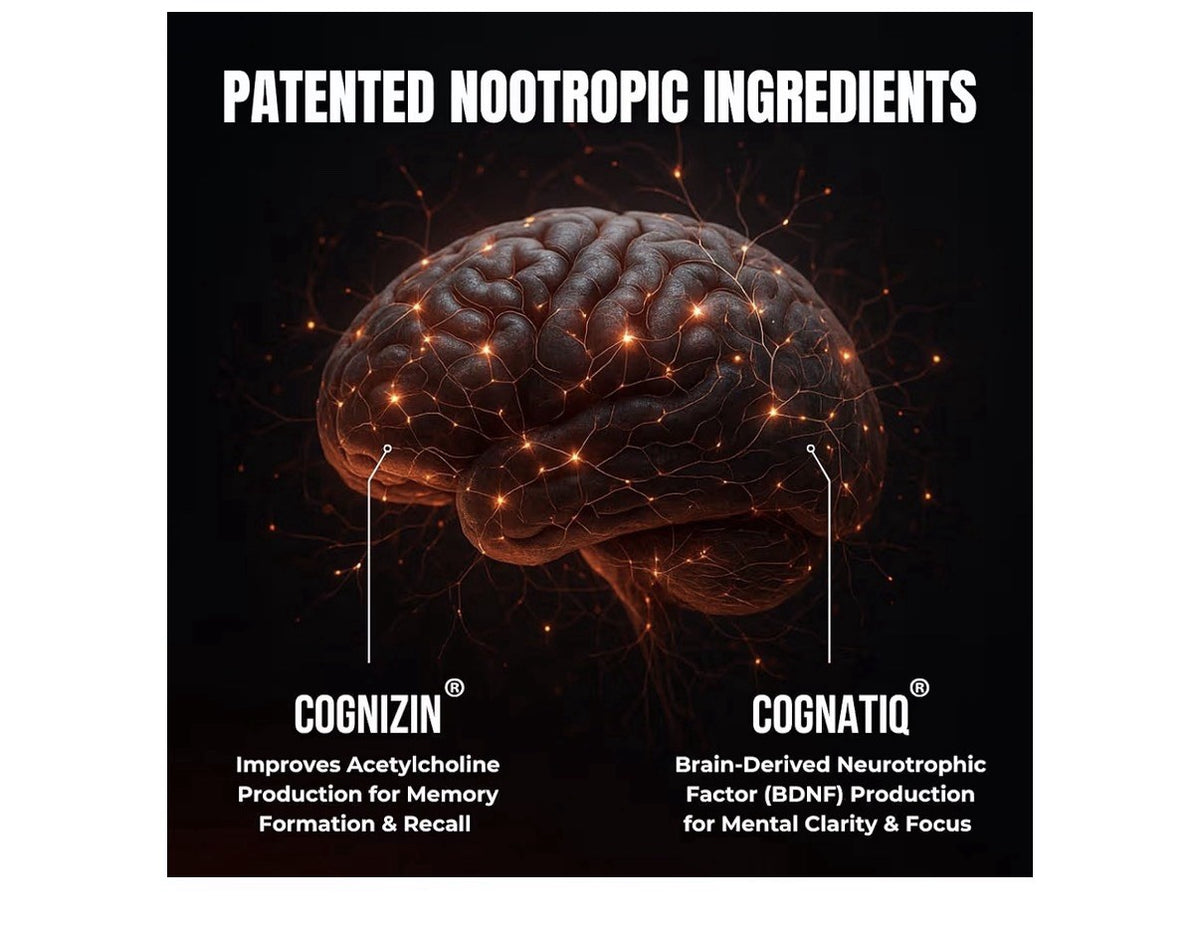 HUMBLEROOTS PERFORMANCE FOCUS Cognition Support Energy Clarity Memory 90Capsules