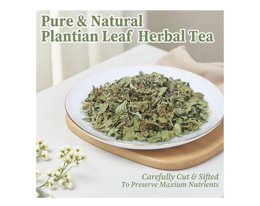 FullChea Plantain Leaf Tea Herbal Support Respiratory Boost Immunity 50 Tea Bags