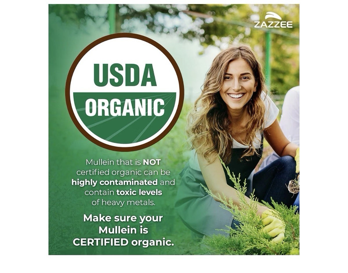 Zazzee Organic Mullein Leaf Support Healthy Respiratory Immune 4 Month Supply
