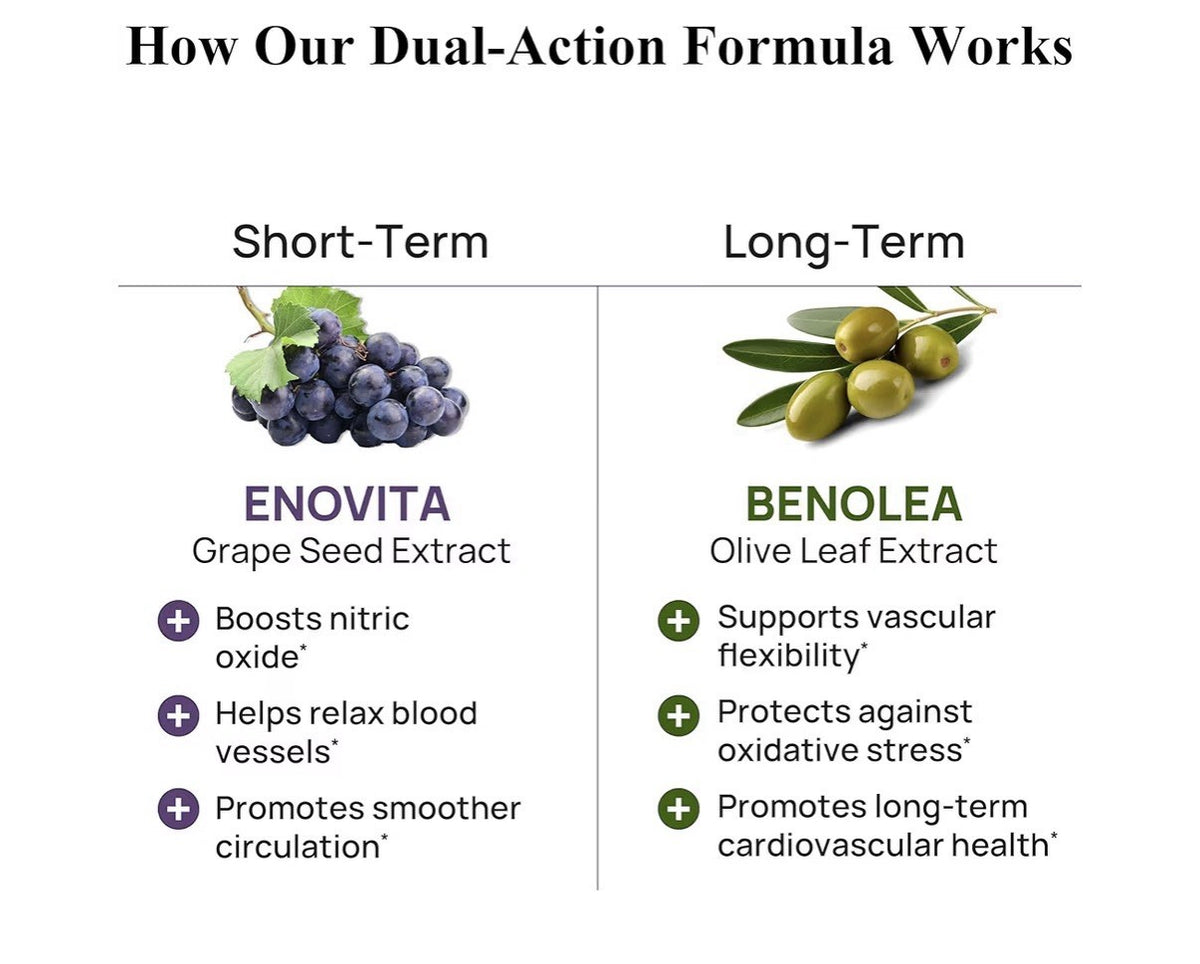 3 Packs Durable Blood Pressure Benolea Olive Leaf & Enovita Grape Seed Extract