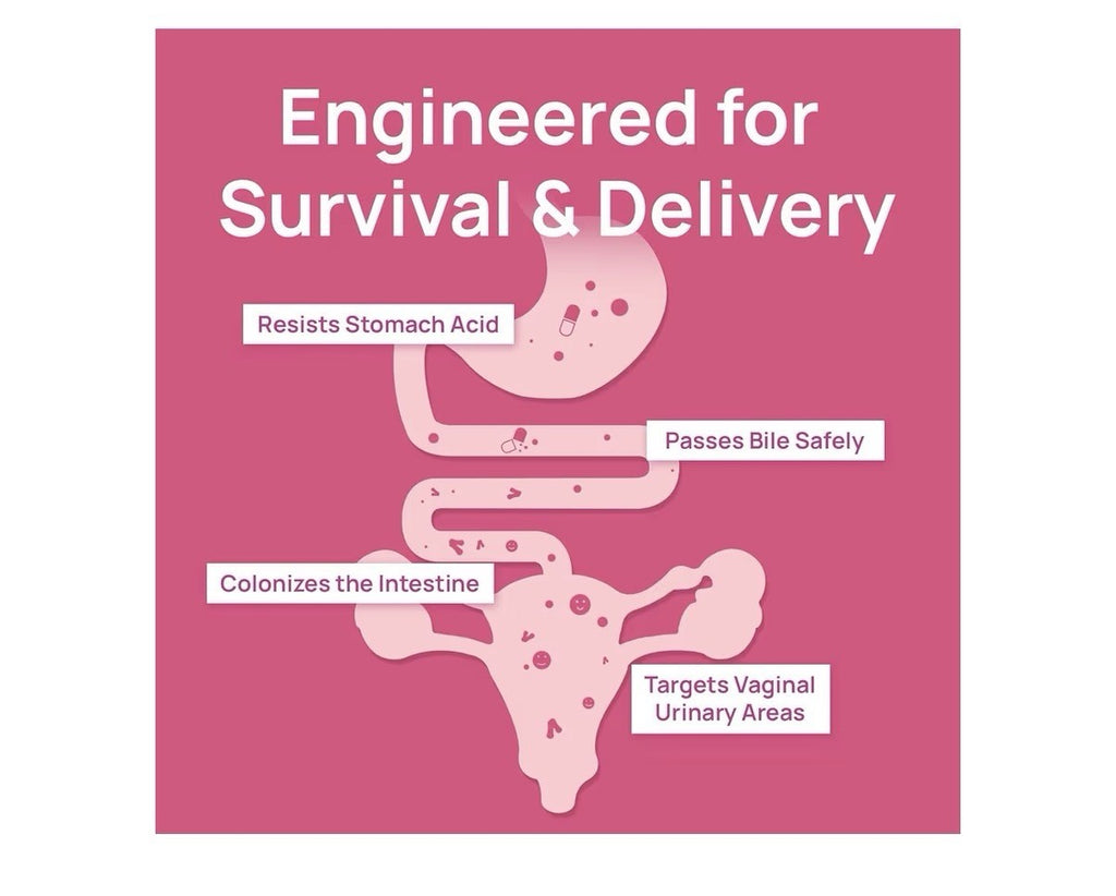Selerb Vaginal Probiotics Prebiotics for Women 50 Billion CFU with Cranberry 60c