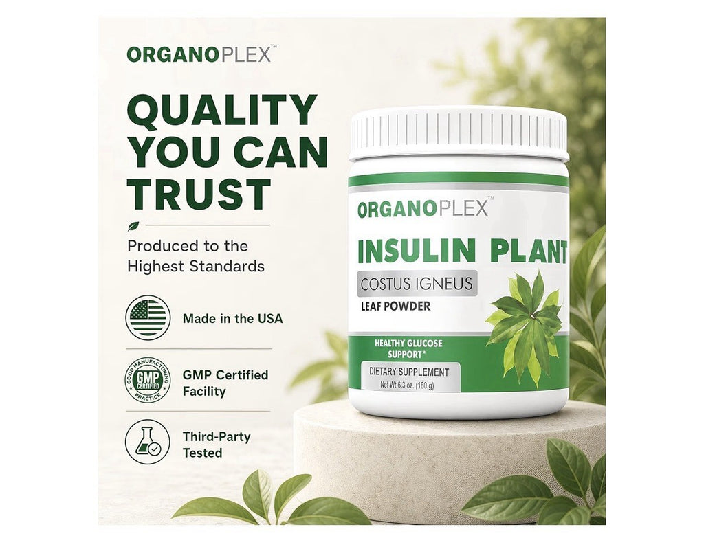 ORGANOPLEX Insulin Plant COSTUS IGNEUS Leaf Powder Healthy Glucose Support 180g