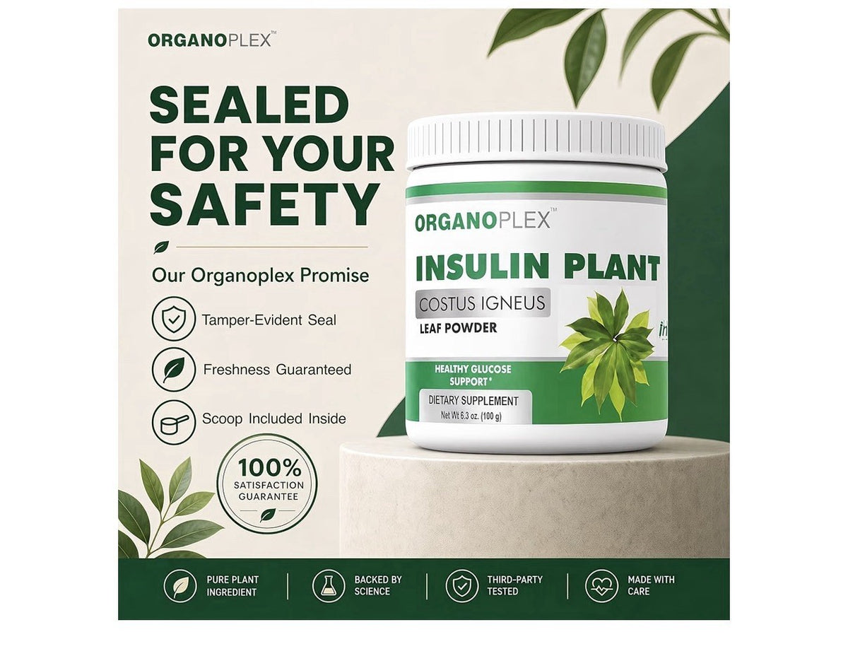 ORGANOPLEX Insulin Plant COSTUS IGNEUS Leaf Powder Healthy Glucose Support 180g