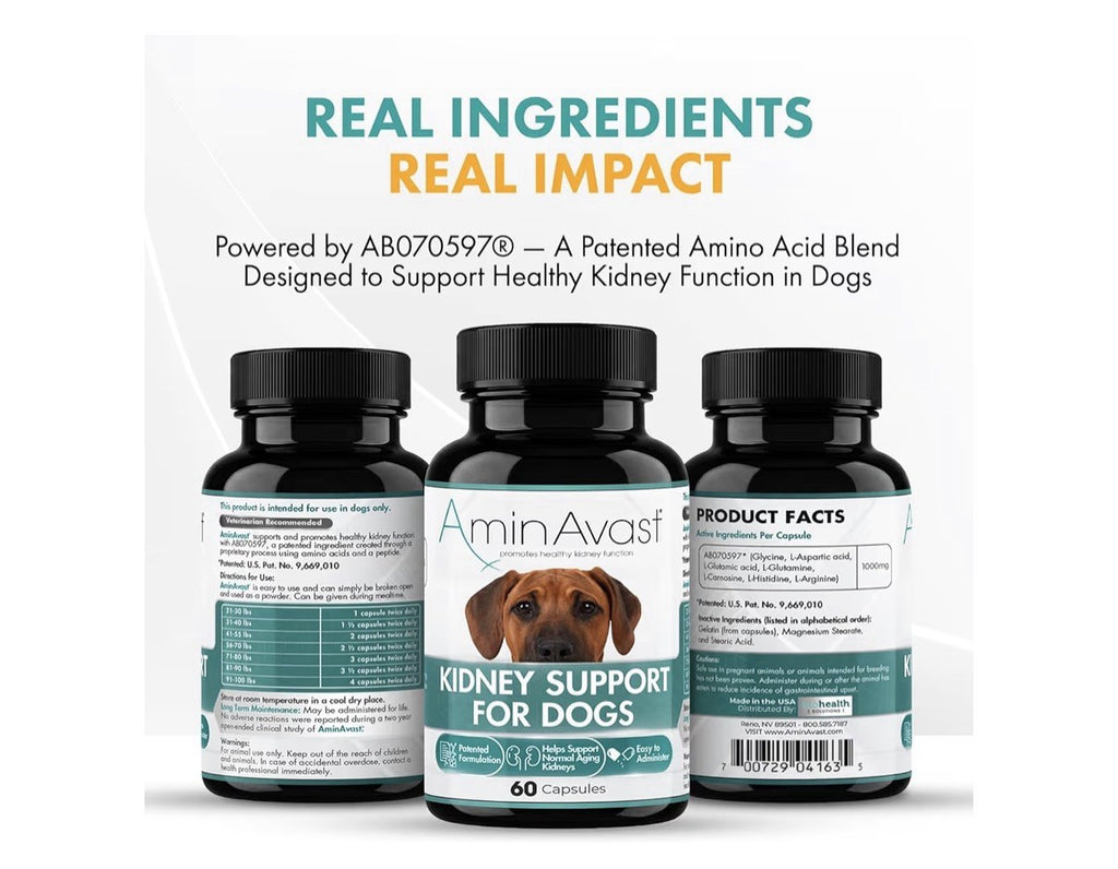 2 Pack AminAvast Kidney Support For Dogs Natural Kidney Function 1000mg