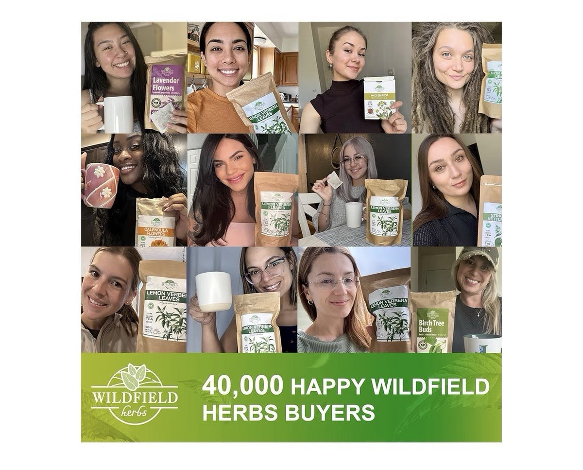 Wildfield Ivan Tea Fermented Blooming Sally Chamaenerion Angustifolum 40 TeaBags
