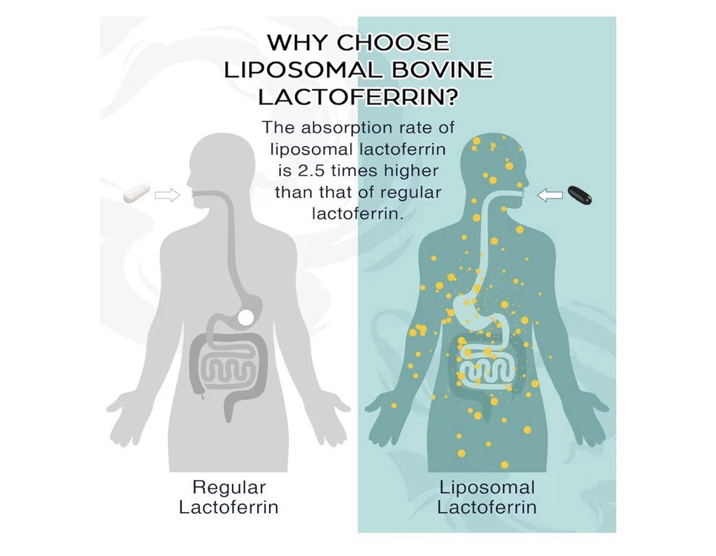 Pepeior Liposomal Lactoferrin 1000mg Higher Absorption for Iron Immune 60softgel