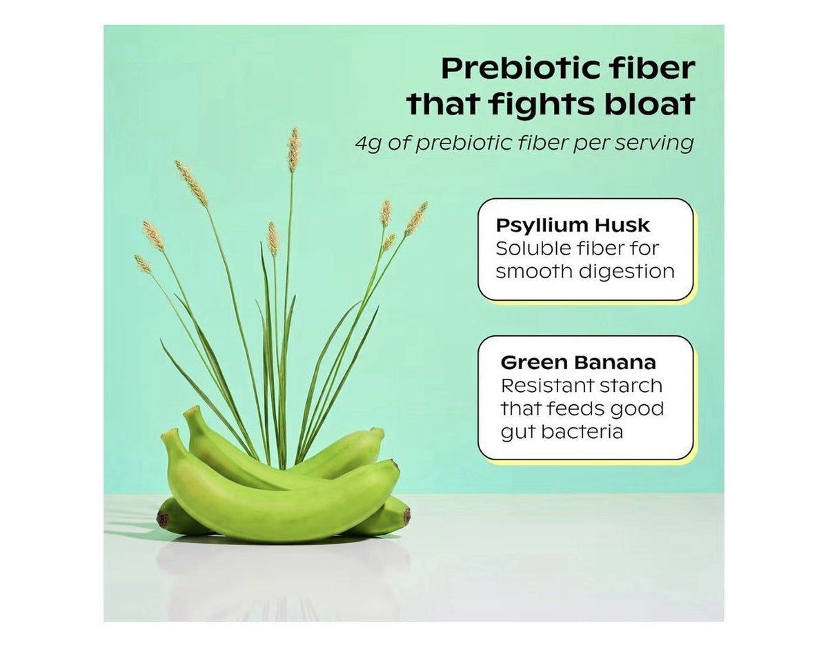 wholier Organic Plant Protein + Prebiotics Powder But Health Support 525g