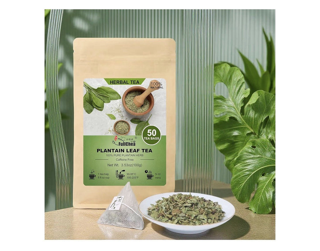 FullChea Plantain Leaf Tea Herbal Support Respiratory Boost Immunity 50 Tea Bags