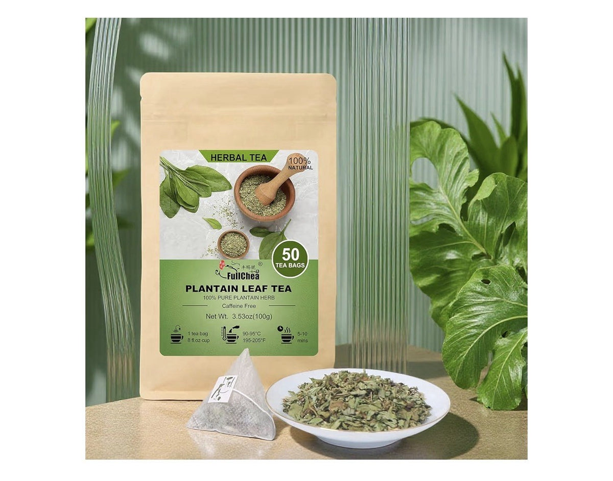 FullChea Plantain Leaf Tea Herbal Support Respiratory Boost Immunity 50 Tea Bags