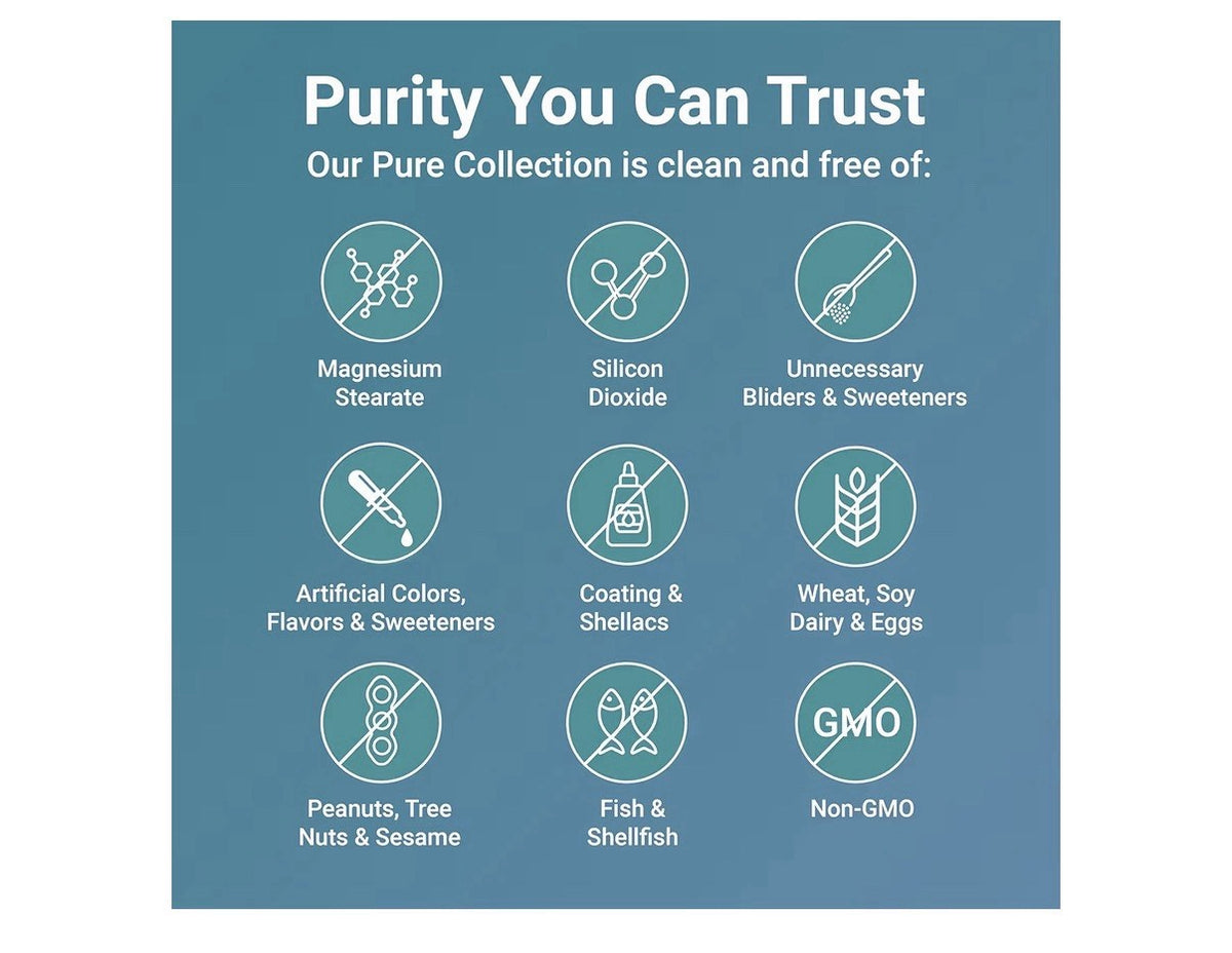 Micro Ingredients Pure Saffron Extract Clean Ingredients Only 240 Veggie Capsule