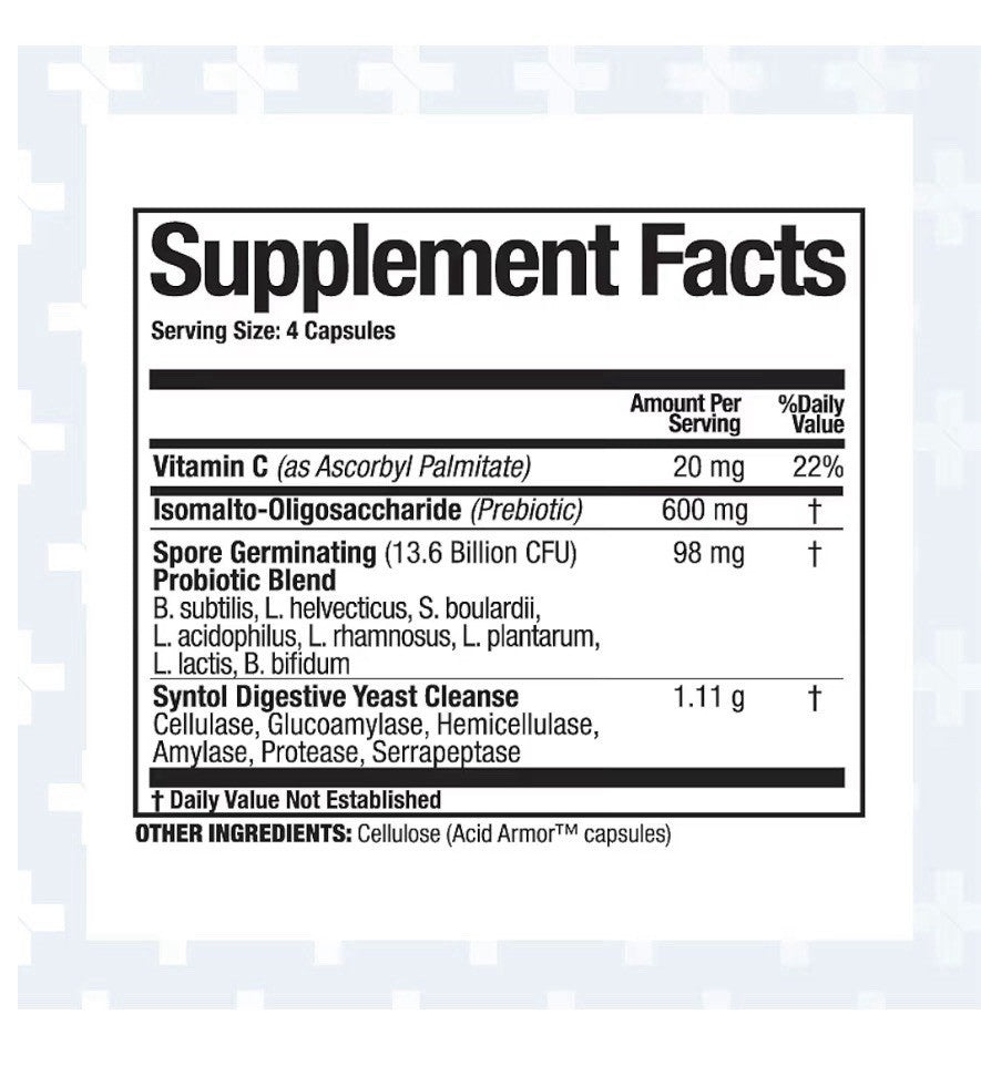 Arthur Andrew Medical Syntol AMD 3-in-1 Formula w/ Probiotics Prebiotics 360caps