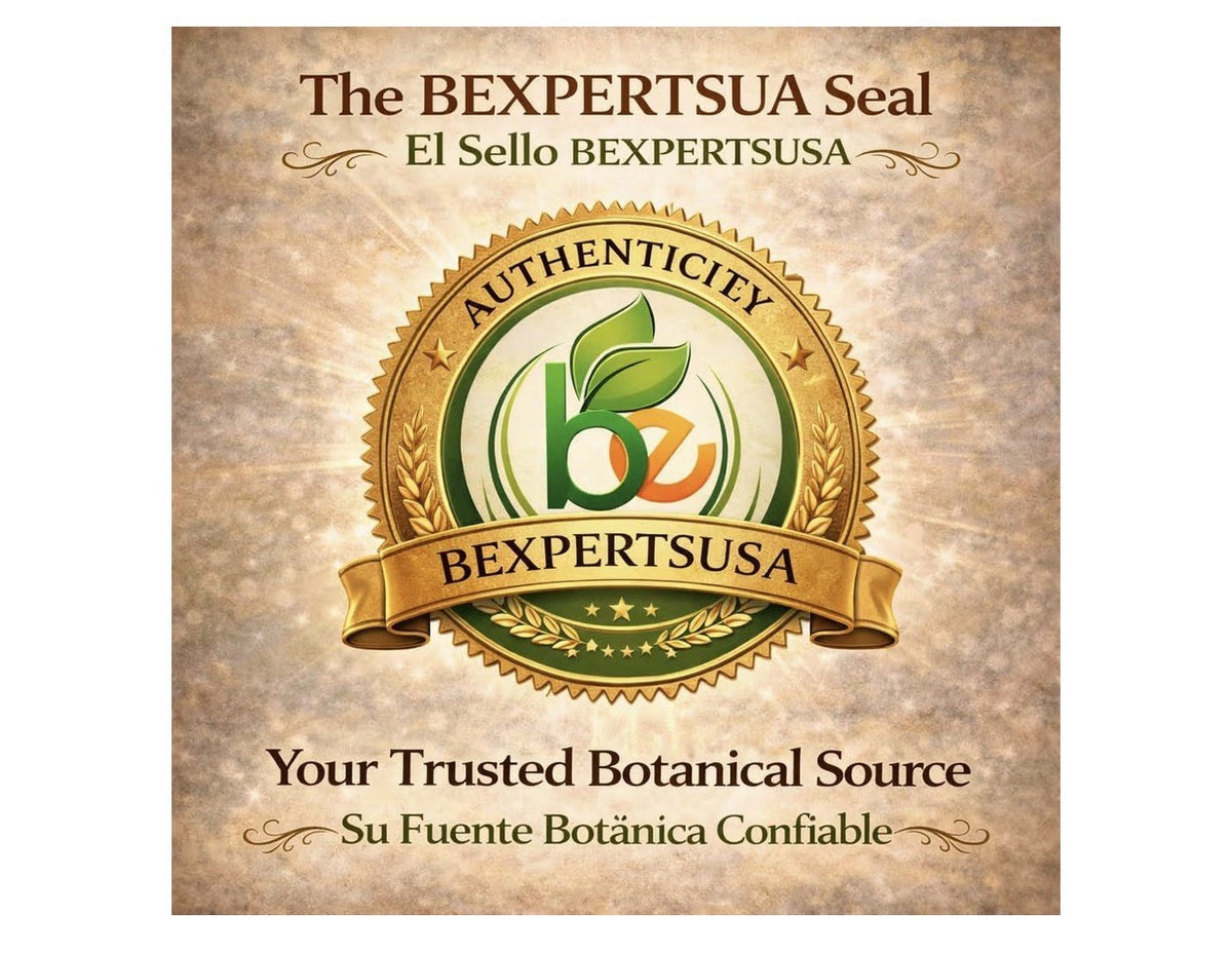 B-Experts Ortiga Herbal Tea Natural URTICA DIOICA Dried Loose Leaf 4 oz
