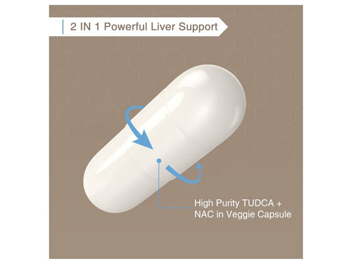 2 Pack Zingicin TUDCA + NAC Supplement 1200mg Antioxidant Liver Gut Health