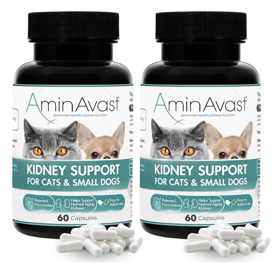 2 Pack AminAvast Kidney Support For Cats And Small Dogs Kidney Function 300 mg