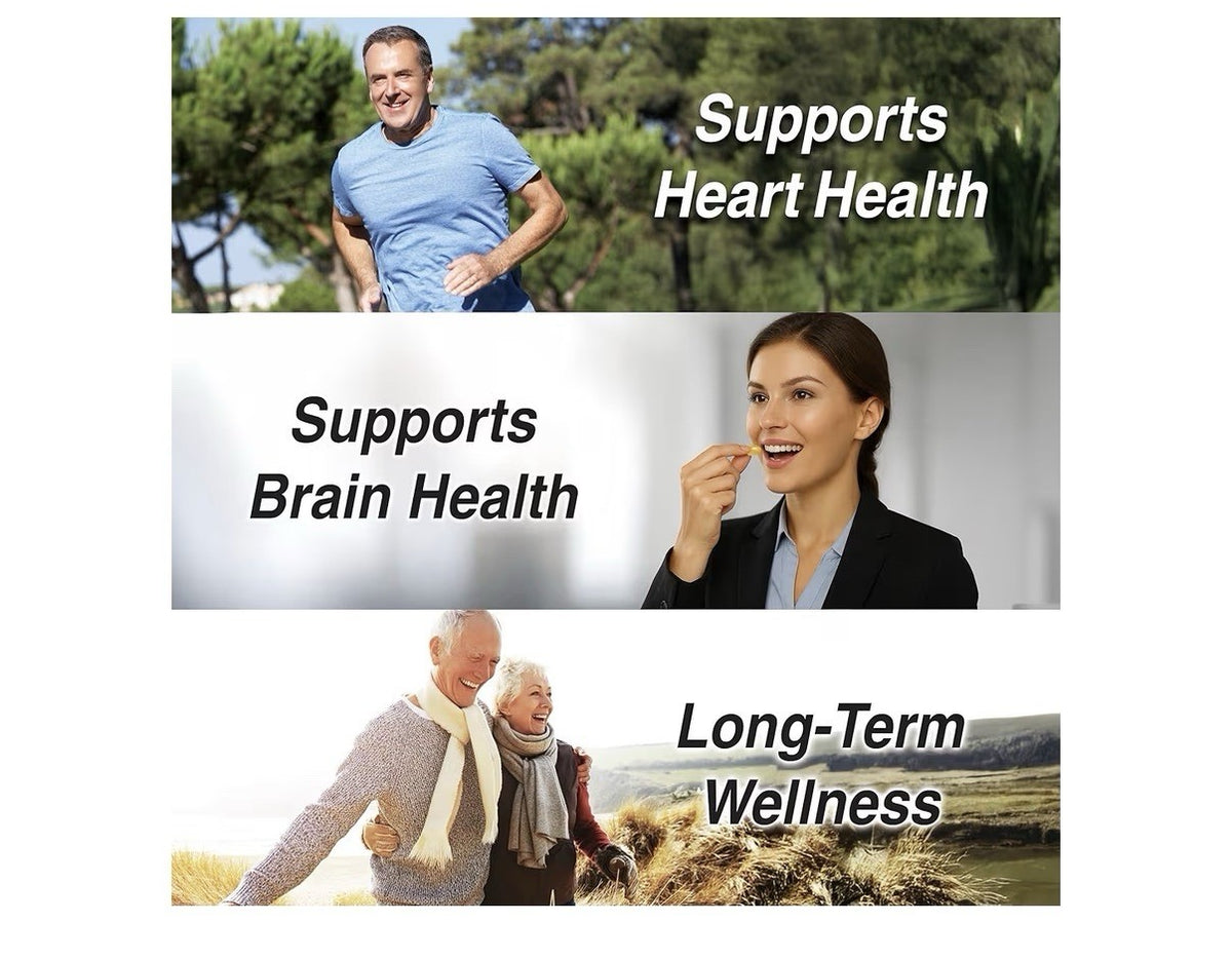 LOVITA Omega-3 Fish Oil rTG 90% Heart Brain Health Support For Women Men 120sgel