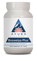 Ayush Herbs Boswelya Plus Advances Joint Support Glucosamine Chondroitin 90 Caps
