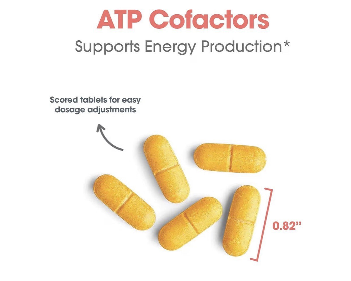 ARG ATP Cofactors Mitochondrial Support 90 Tablets