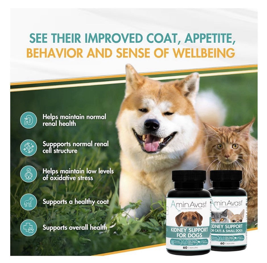 AminAvast Kidney Support For Dogs Supplement Natural Kidney Function 1000mg 60ca