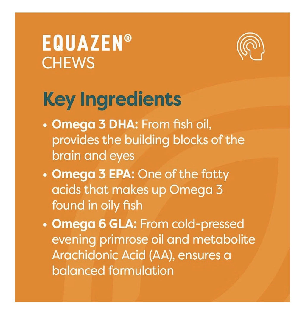 Equazen Omega 3 Omega 6 Supports Brain Function For 3+ Years 180 Chewable Caps