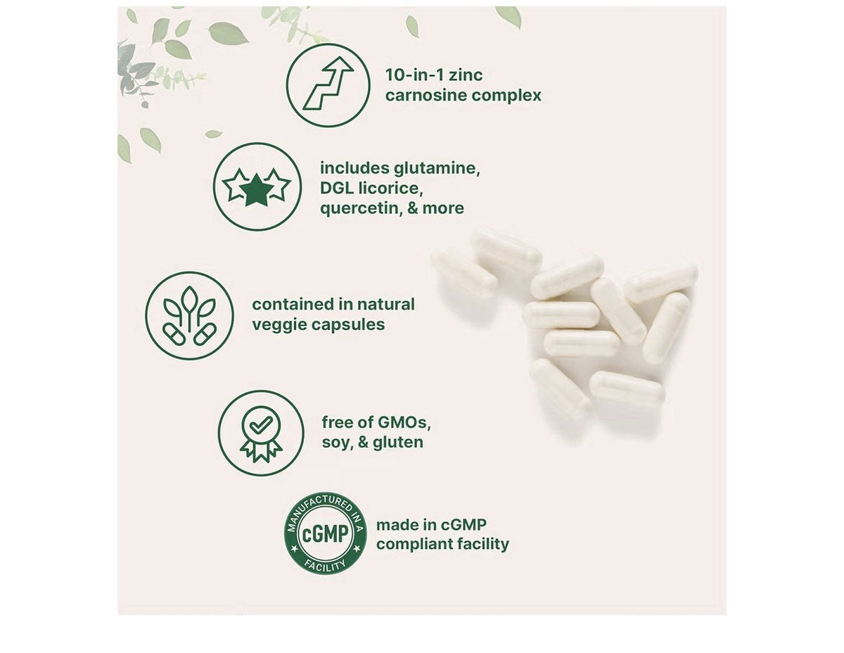 Micro Ingredients Zinc Carnosine 10-in-1 Complex 240 Vegetarian Capsules
