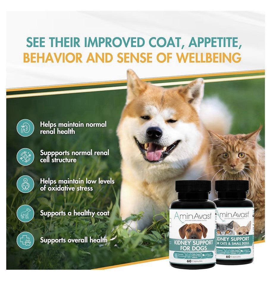 2 Pack AminAvast Kidney Support For Cats And Small Dogs Kidney Function 300 mg