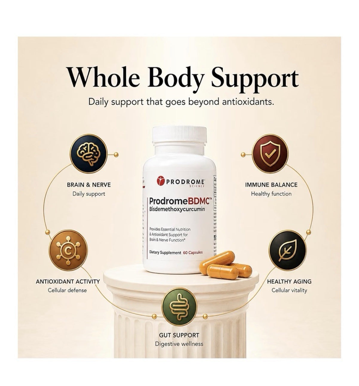 Prodrome BDMC Bisdemethoxycurcumin for Brain Nerve Gut Cellular Support 60 Caps