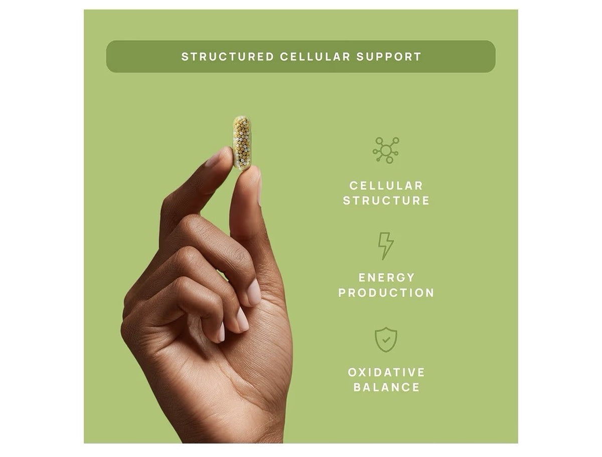 StayWell C15:0  Cellular Complex Pentadecanoic Acid Memberance Support 120 Caps