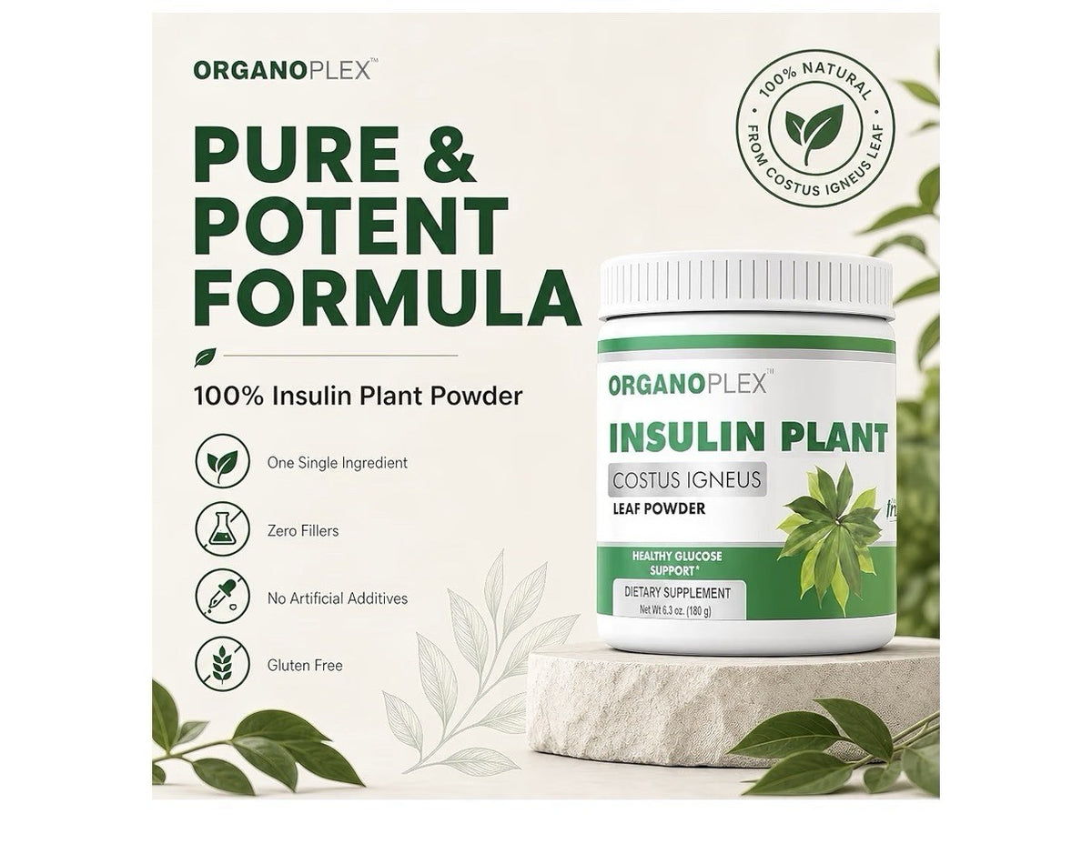 ORGANOPLEX Insulin Plant COSTUS IGNEUS Leaf Powder Healthy Glucose Support 180g