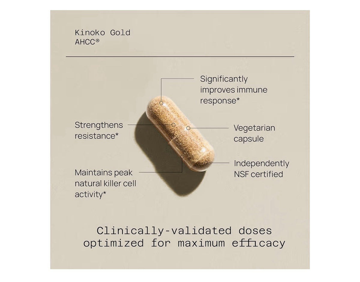 2 Packs Quality of Life Kinoko Gold AHCC  Immune Support 120 Capsules
