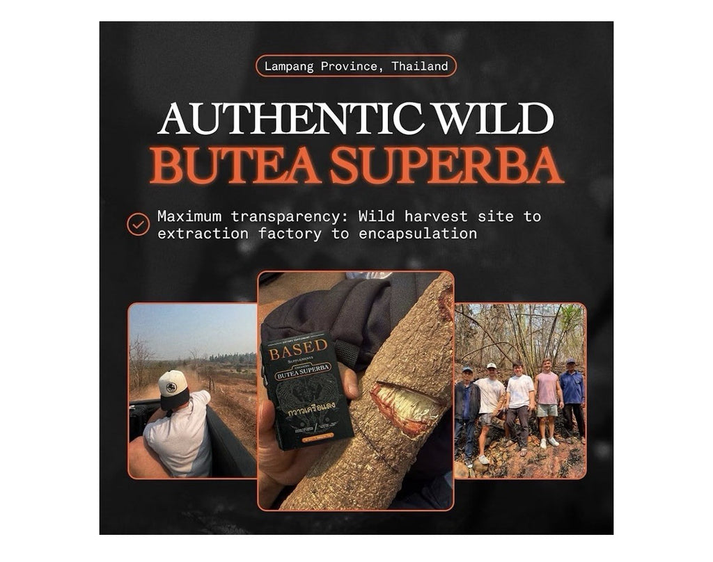 Based Supplements Butea Superba Extract Thai Herb Men's Vitality Focus Energy 30
