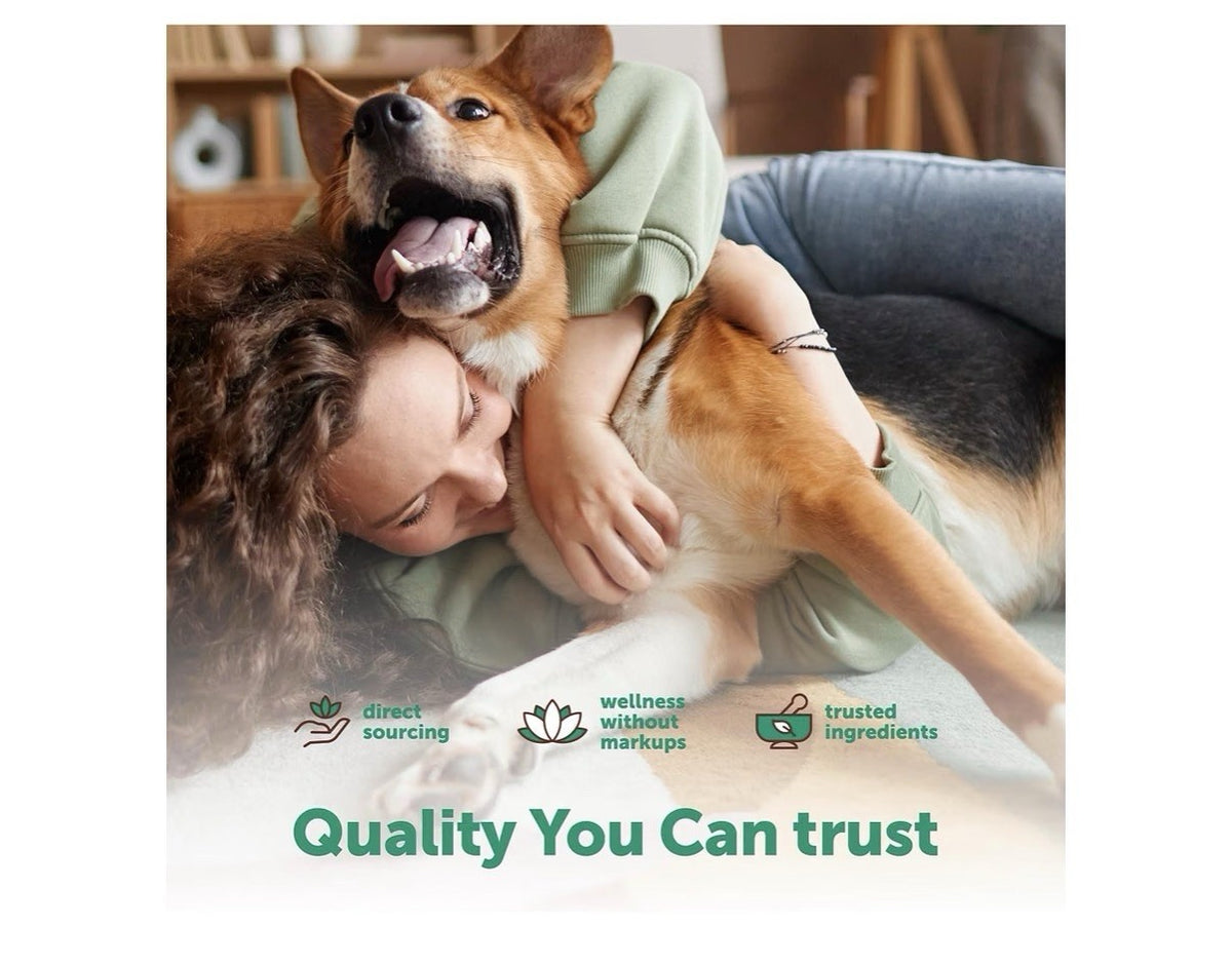 Micro Ingredients Probiotics for Dogs 6 Billion CFU 240 Soft Chews Duck Flavor