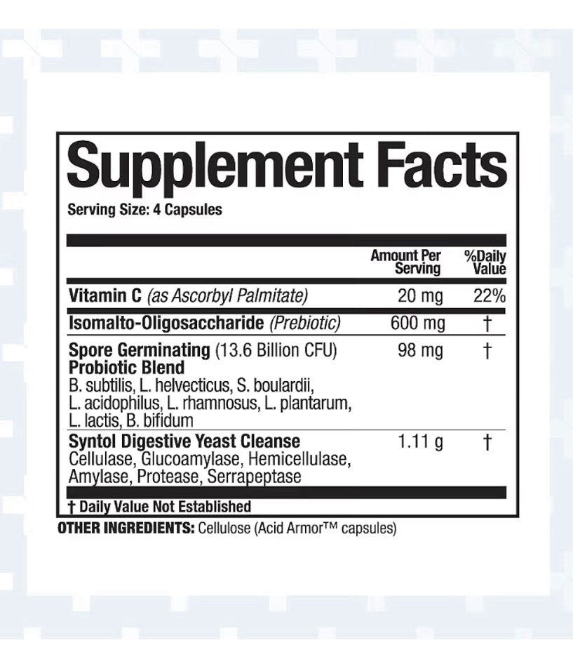 Arthur Andrew Medical Syntol AMD 3-in-1 Formula with Probiotics Prebiotics 90cap