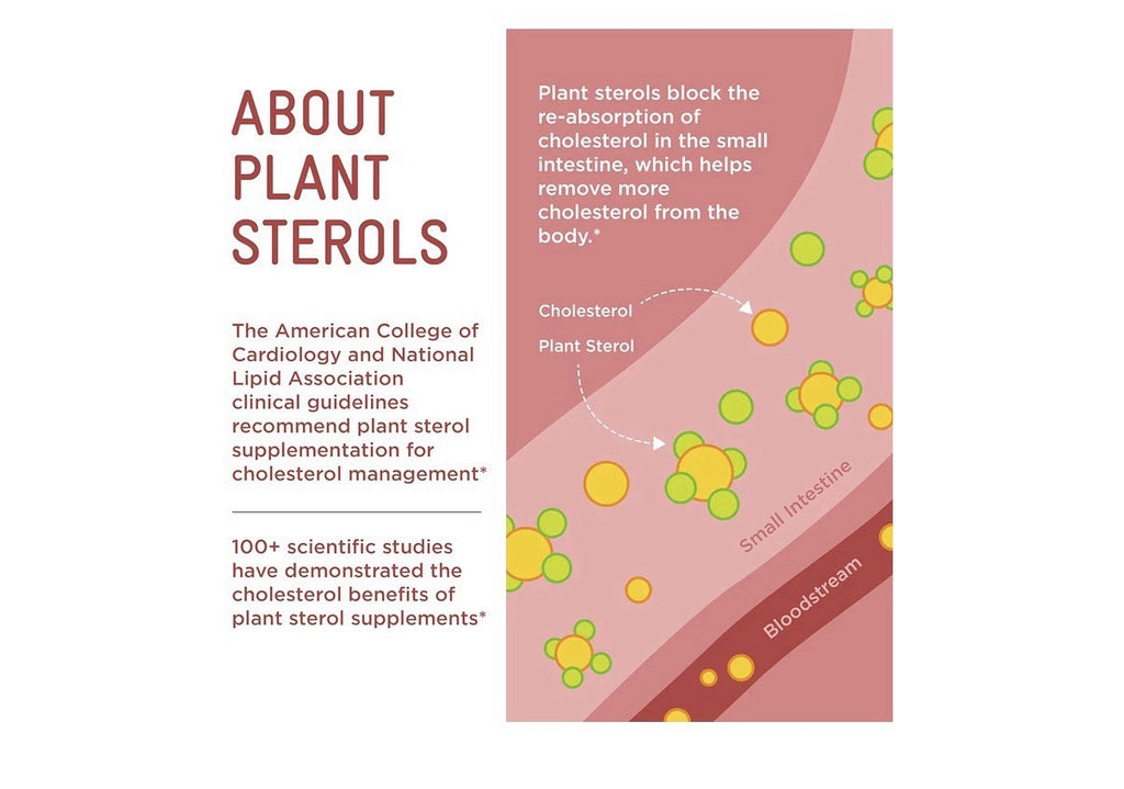 Piper Biosciences Plant Sterols Healthy Cholesterol Gummy Supplement 2 Packs