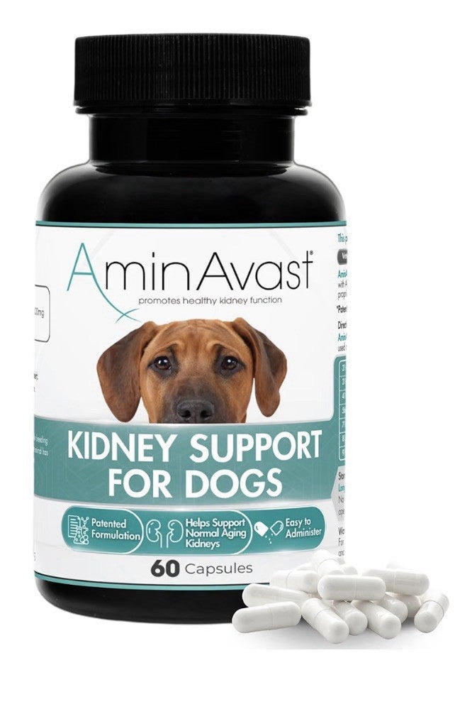 AminAvast Kidney Support For Dogs Supplement Natural Kidney Function 1000mg 60ca