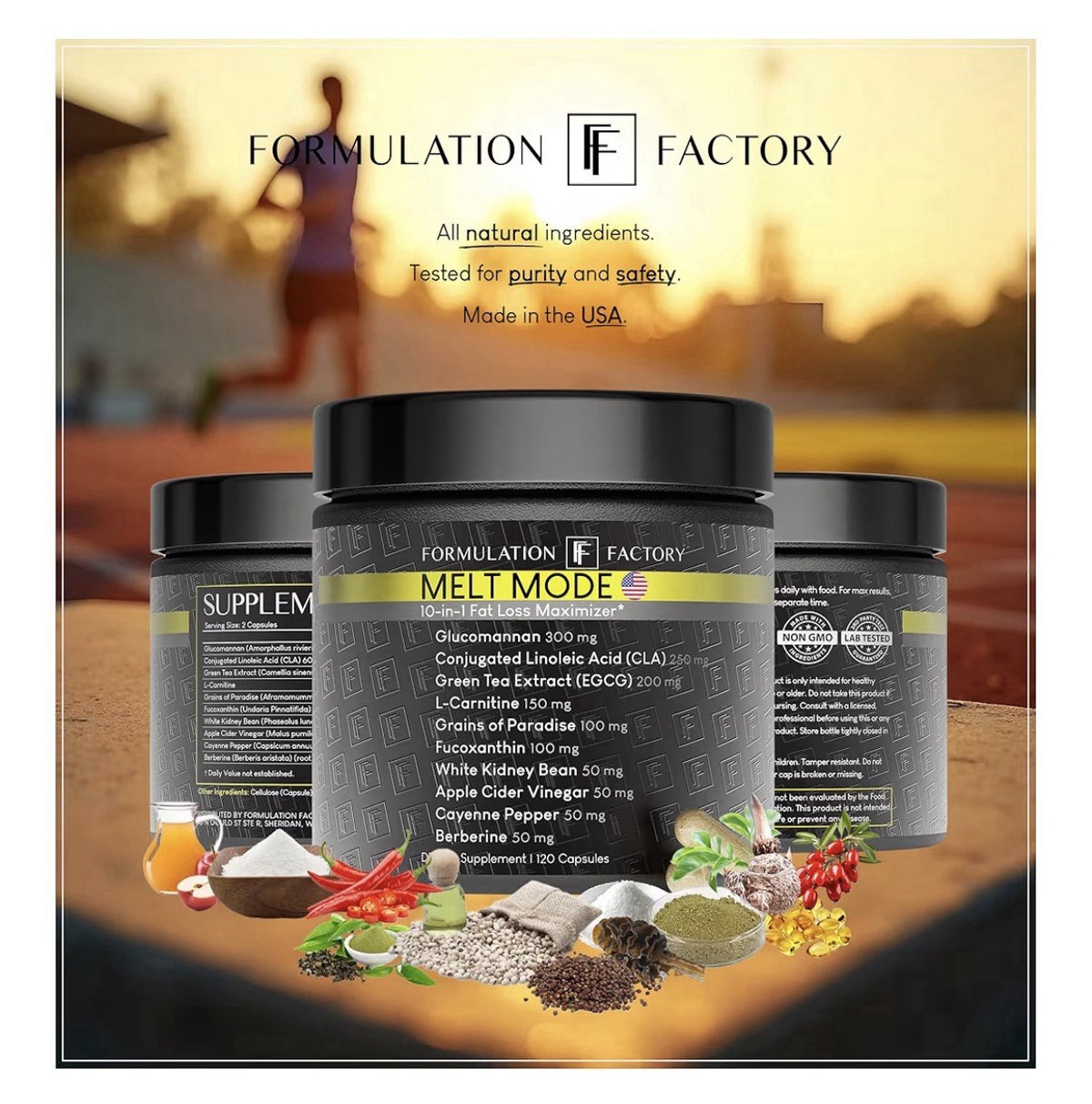 2 Packs Formulation Factory Metabolism Support Melt Mode Natural Thermogenic