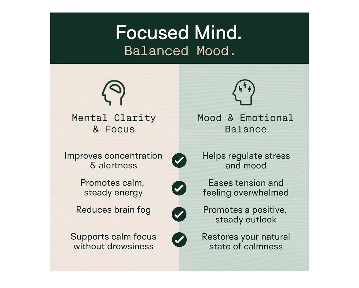 Adapt Naturals Steady Spirit Adaptogenic Blend Calm Focus Stress Emotional 60cap