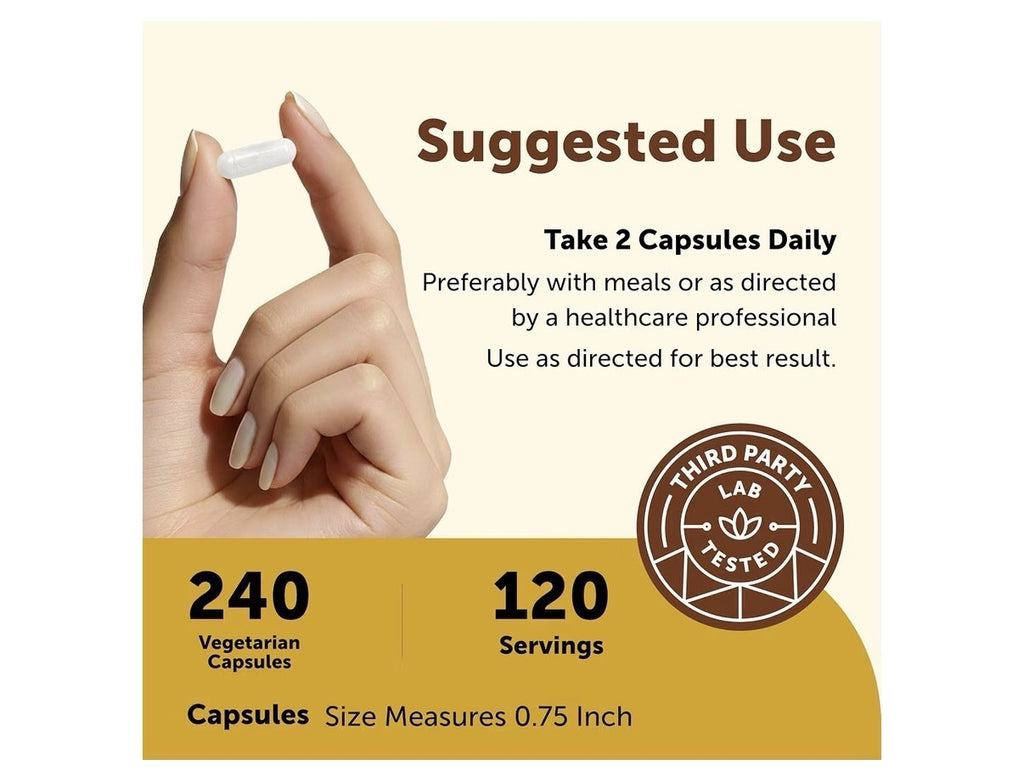 Micro Ingredients Bariatric Multivitamin Methylated with Iron 240 Capsules