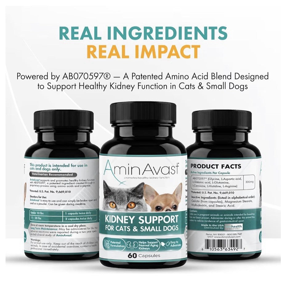 AminAvast Kidney Support For Cats And Small Dogs Kidney Function 300mg 60capsule