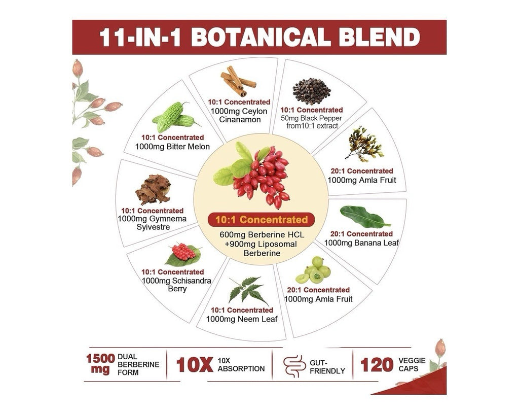 Nextdia Berberine Ceylon Cinnamon 1500mg Per Serving Liposomal Form 2 Pack