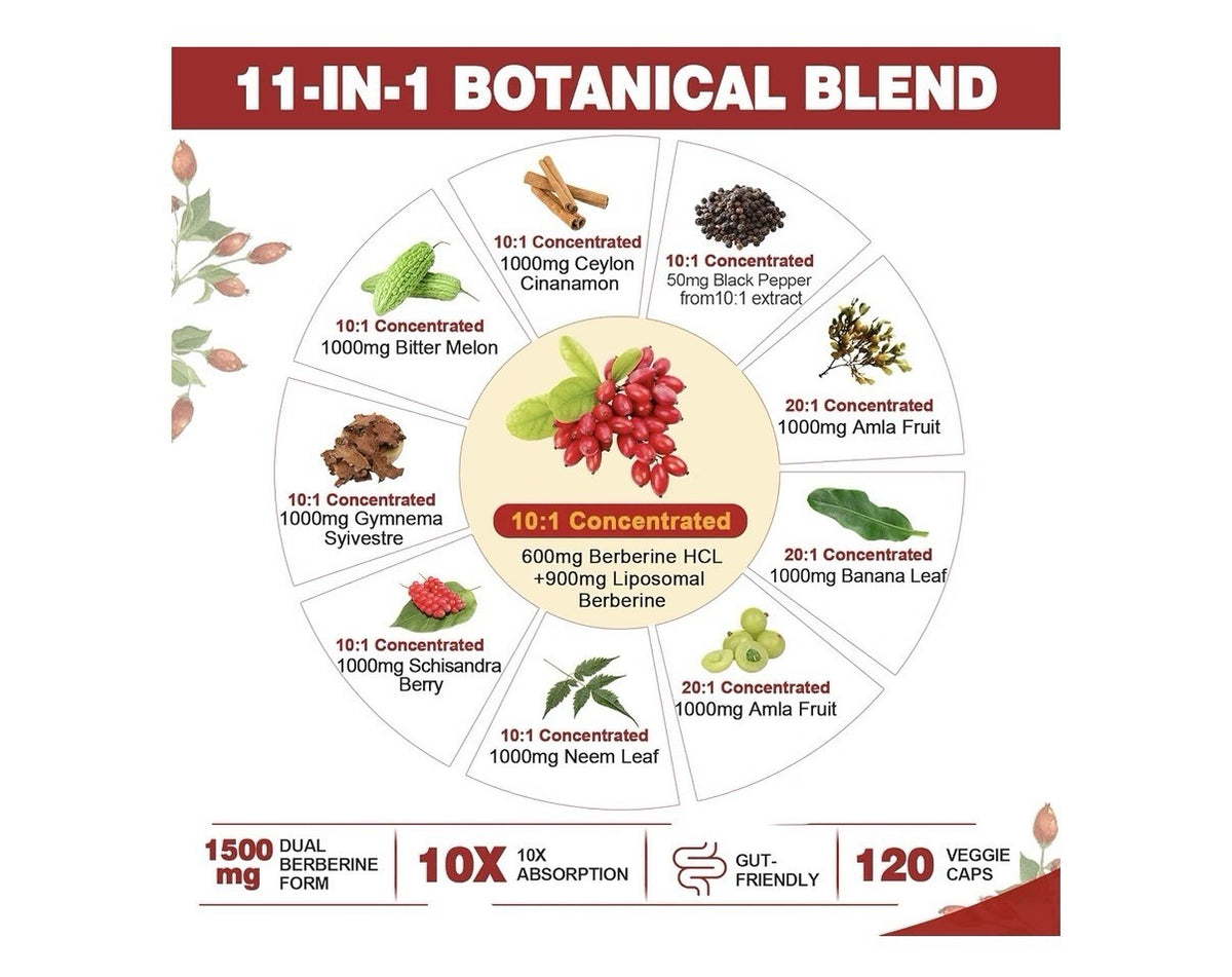 Nextdia Berberine Ceylon Cinnamon 1500mg Per Serving Liposomal Form 2 Pack